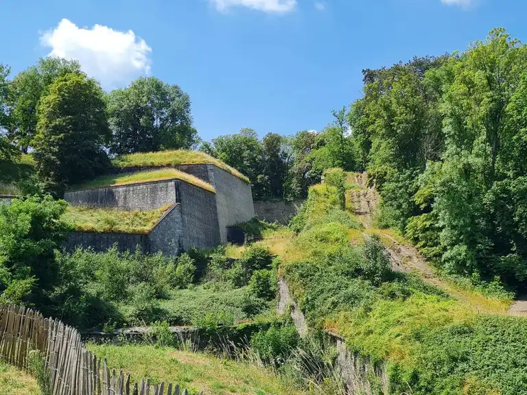 Les bois de la Citadelle